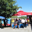 bmk2014_085